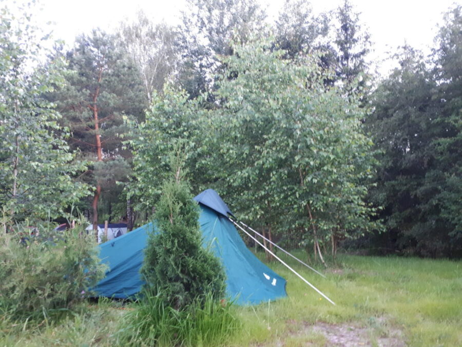 Pole campingowe nad jeziorem Śniardwy