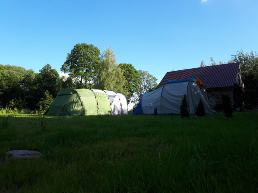 Pole campingowe nad jeziorem Śniardwy, namioty rozbite w cieniu drzew