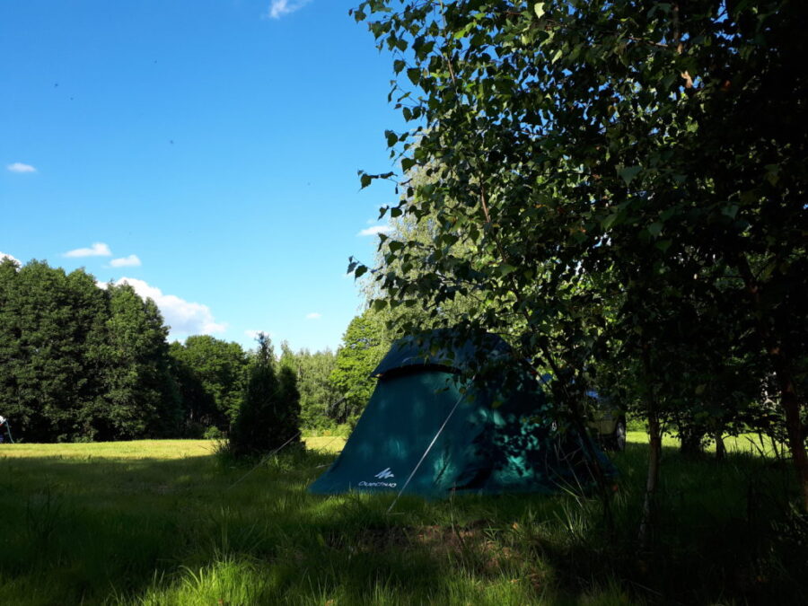 Pole namiotowe nad jeziorem Śniardwy, pod drzewem rozstawiony namiot